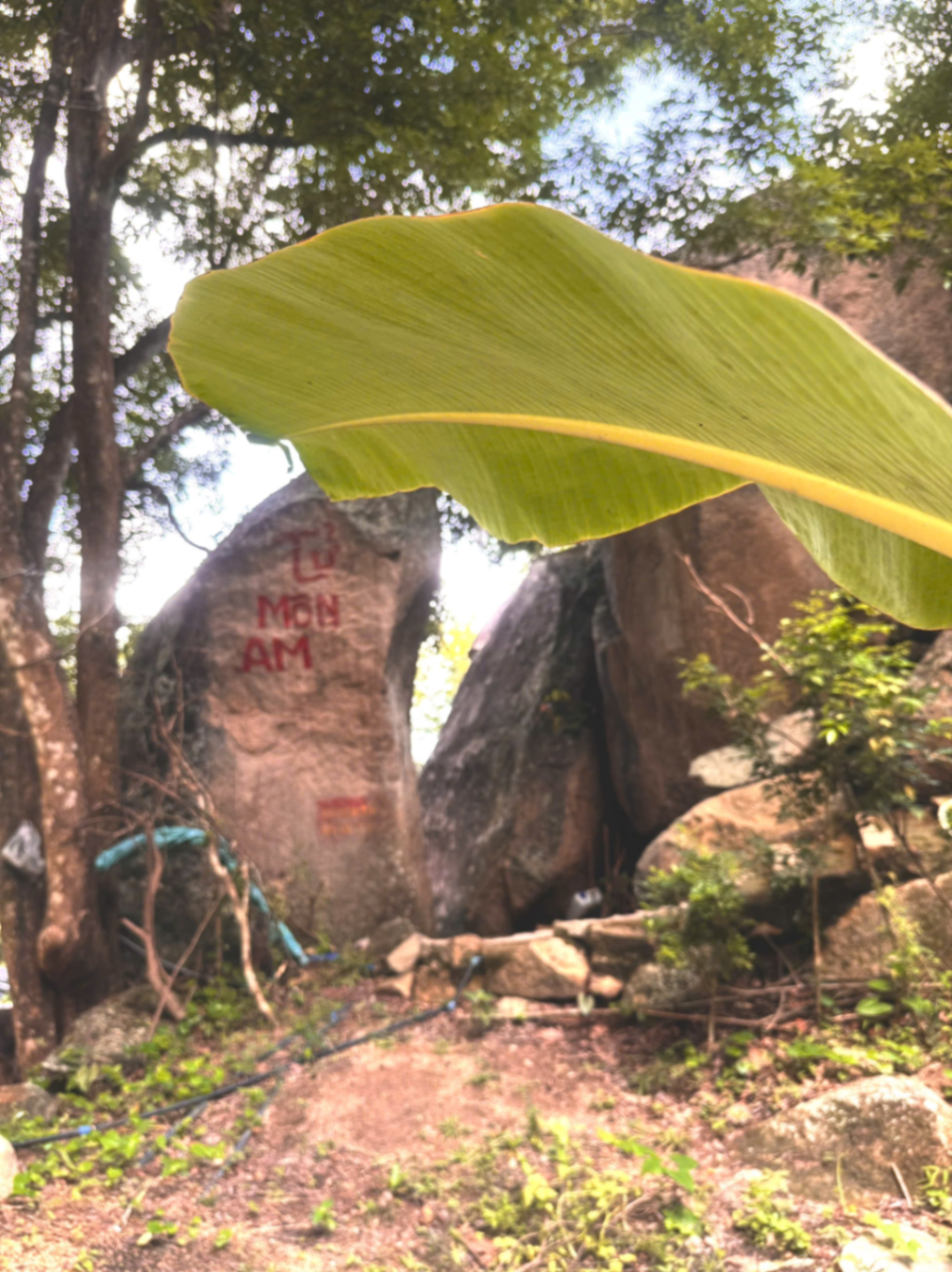 Một điểm trên núi Dinh